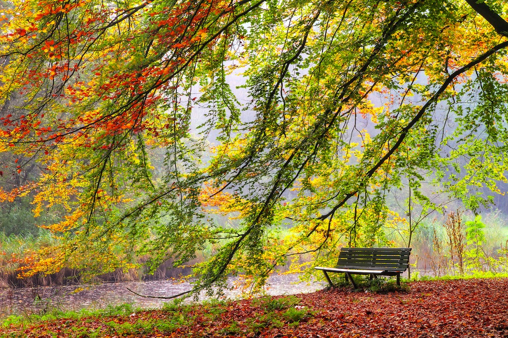 amsterdamse bos amsterdamse bos