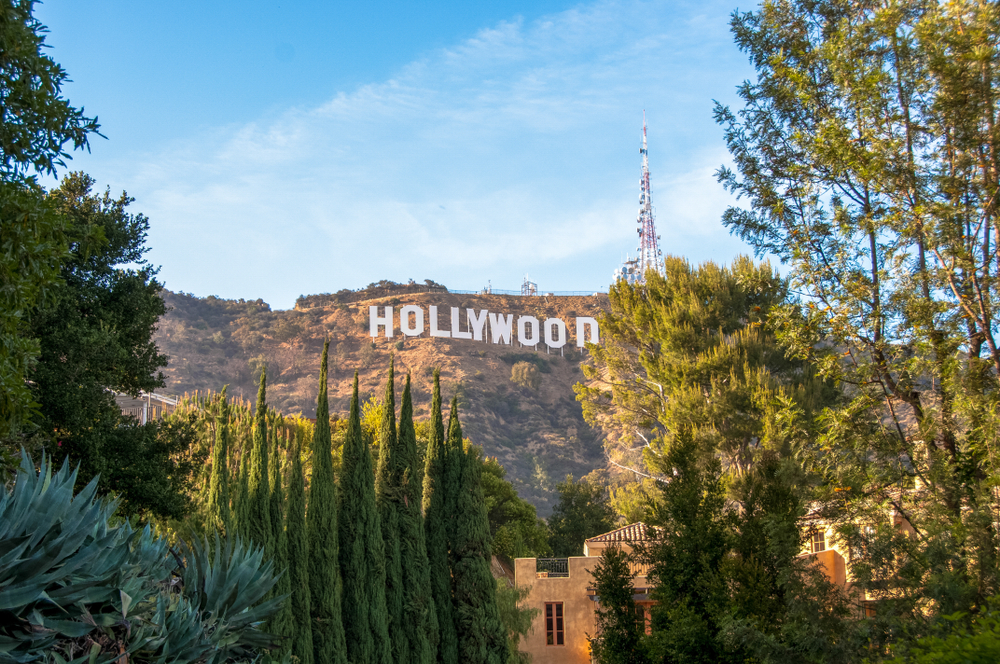 Cartel Hollywood Cartel Hollywood