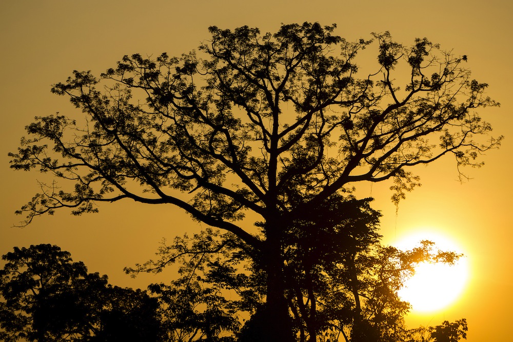 catatumbo