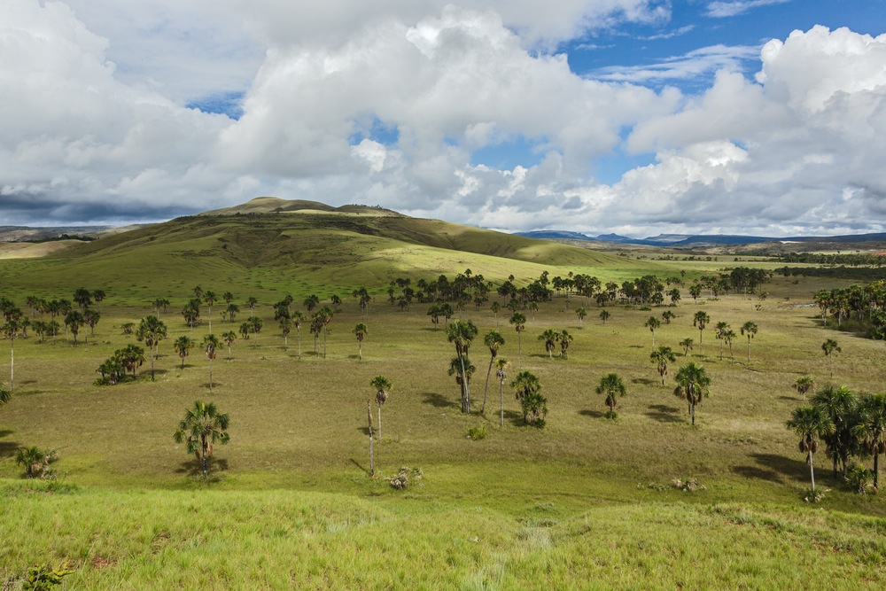 gran sabana