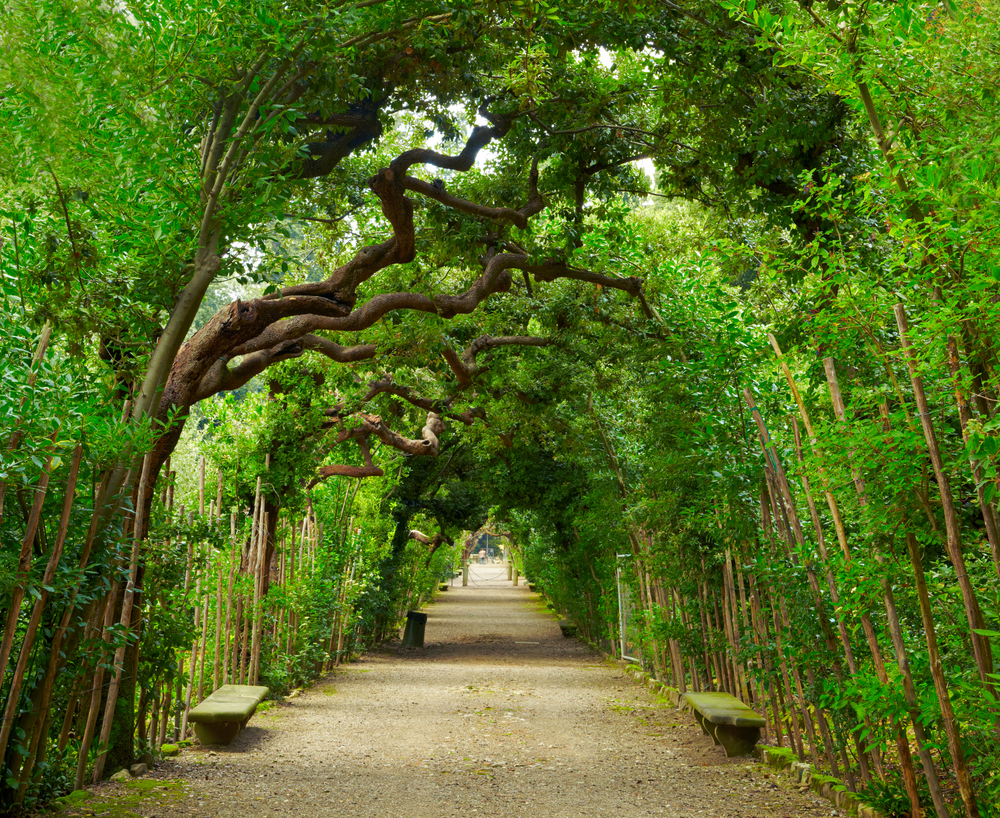 Detalle de los Jardines Boboli de Florencia