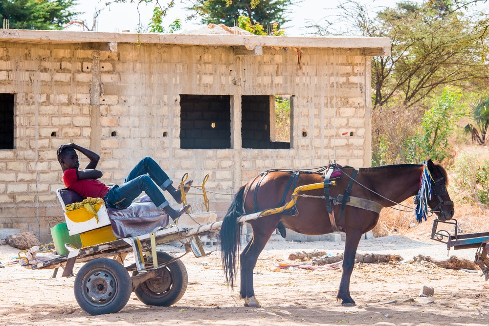 louga senegal (Anton_Ivanov - Shutterstock) louga senegal