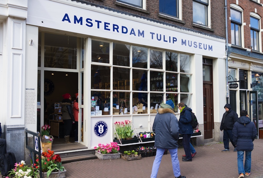 museo tulipanes