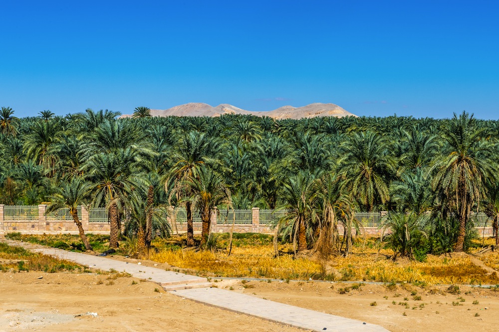 oasis kharga oasis kharga