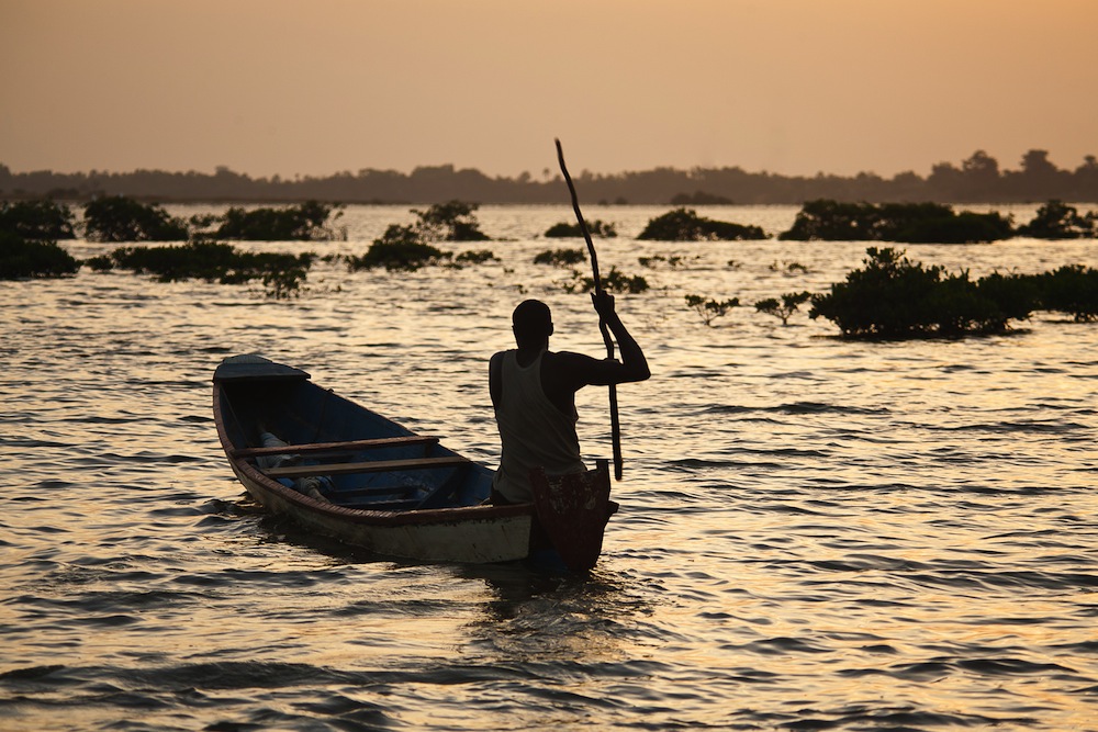 saloum senegal saloum senegal