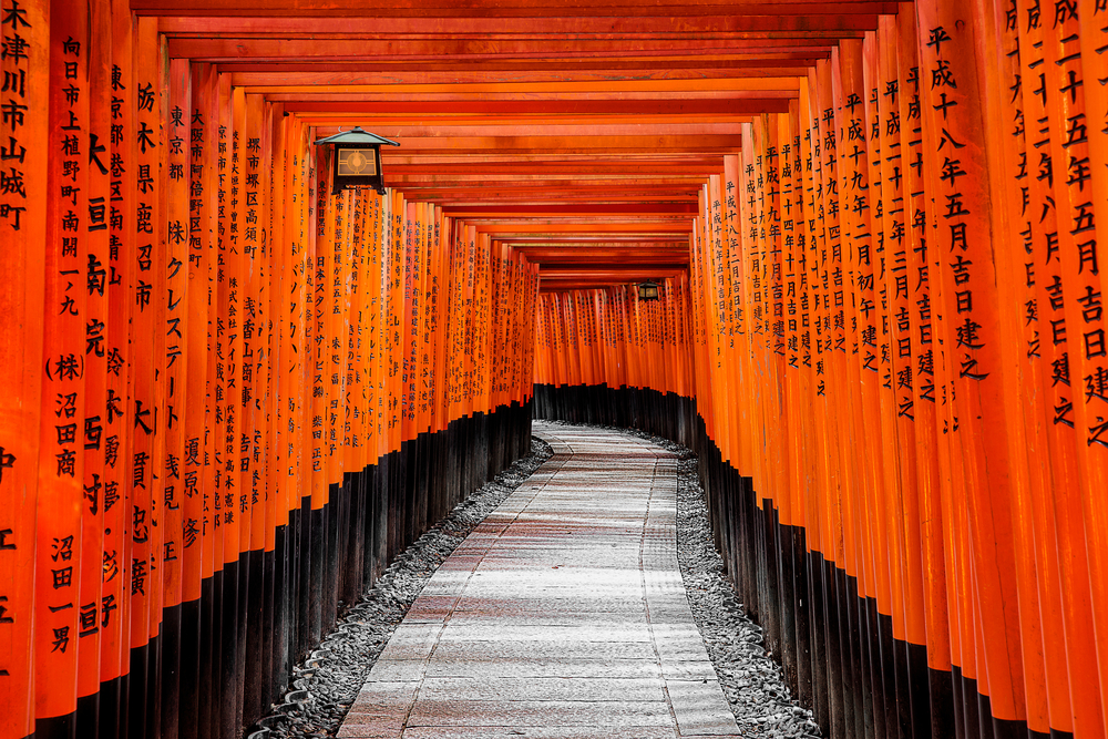 Santuario Fushimi Santuario Fushimi