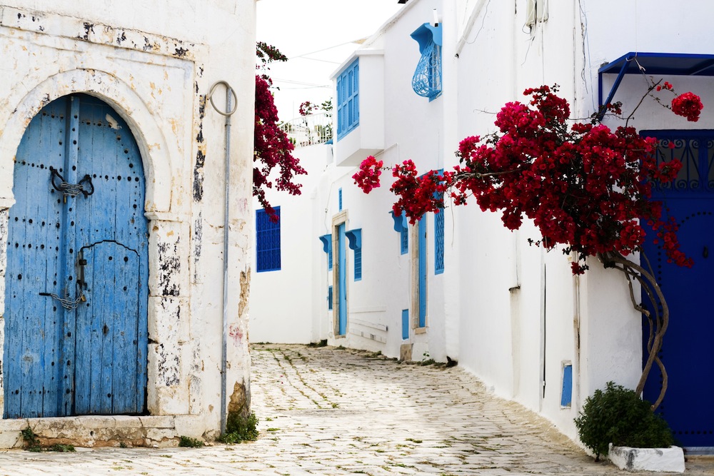 sidi bou said