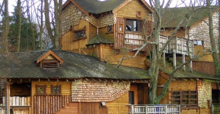 Casa del árbol