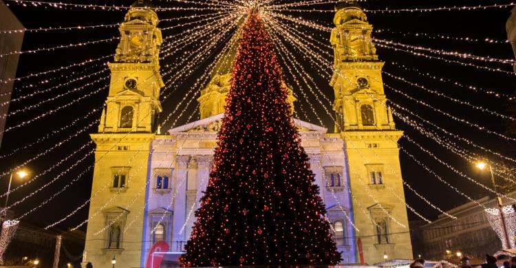 Árbol de Navidad en la Plaza San Esteban