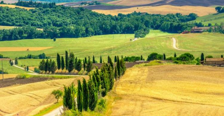 Caminos de la Toscana