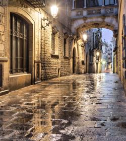 Barrio Gótico - Barcelona Barrio Gótico - Barcelona