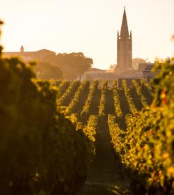 Saint Emilion - Francia Saint Emilion - Francia