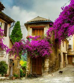 Calles de la Provence