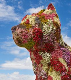 Perro de Flores delante del Guggenheim Perro de Flores delante del Guggenheim