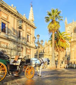 Casco histórico de Sevilla Sevilla