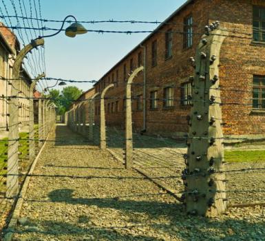Visita guiada al campo de concentración de Auschwitz Visita guiada al campo de concentración de Auschwitz