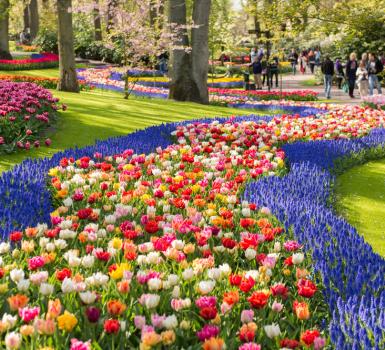 Los jardines de tulipanes de Keukenhof Los jardines de tulipanes de Keukenhof