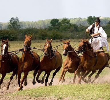 Espectáculo ecuestre en Puszta Espectáculo ecuestre en Puszta