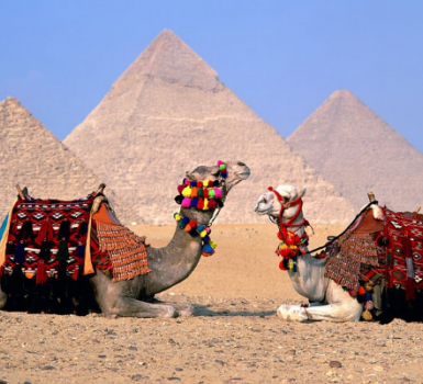 Conoce las pirámides de Giza montando en camello Conoce las pirámides de Giza montando en camello