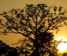 catatumbo