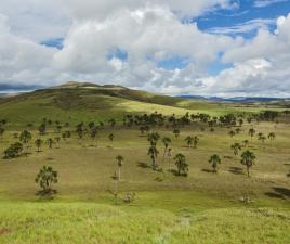 gran sabana