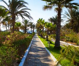 isla djerba