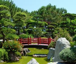 jardin japones buenos aires