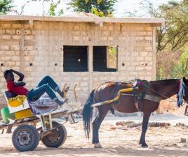 louga senegal