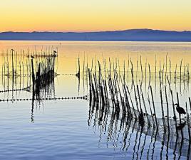 parque natural albufera