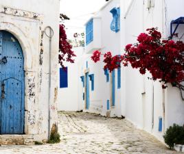 sidi bou said