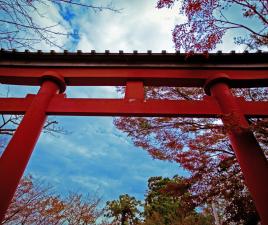 Entrada al Templo del Monte Takao