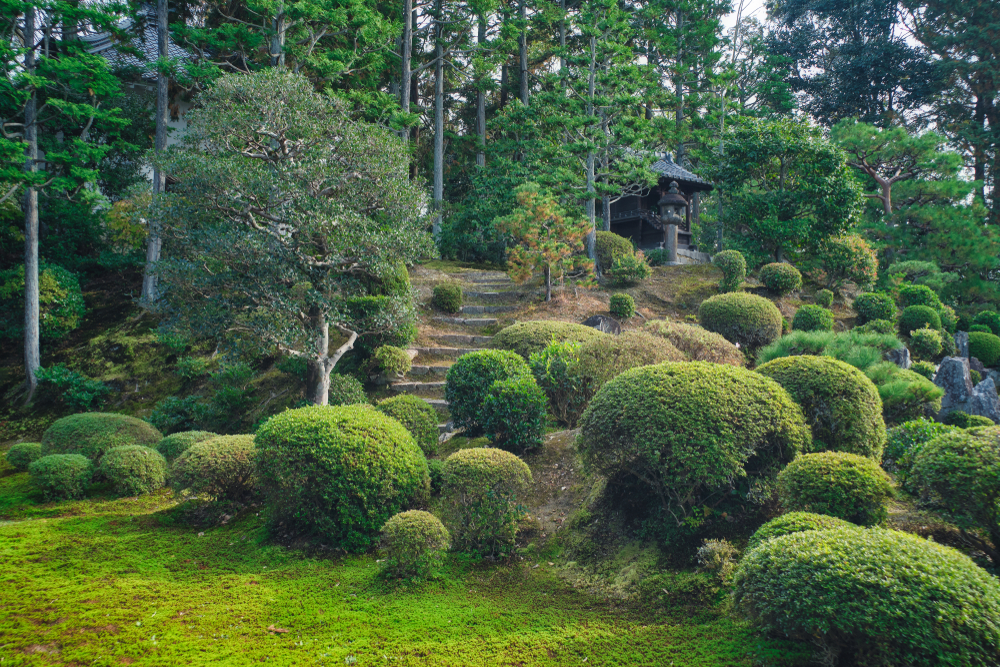 Tōfuku-ji - jardín Tōfuku-ji - jardín