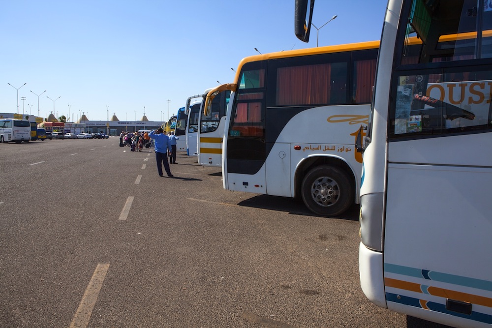 autobus egipto