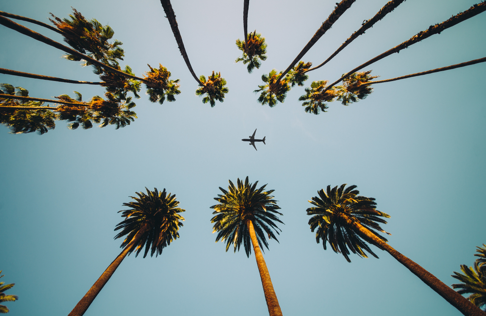 Llegar en avión - Miami