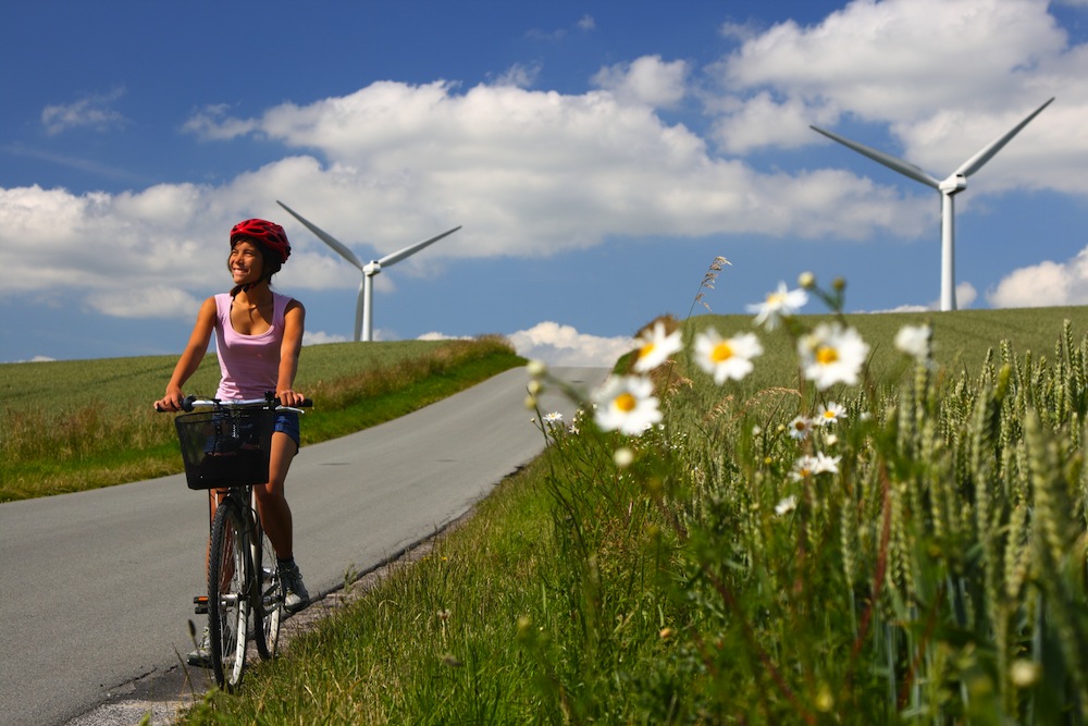 bici dinamarca