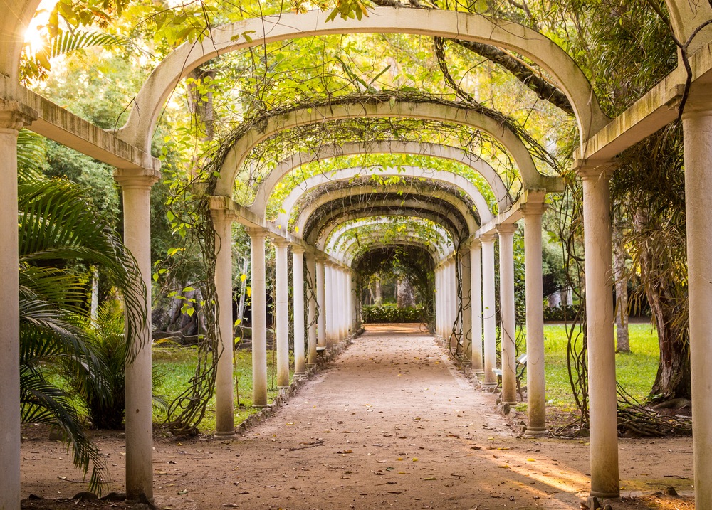 Jardín botánico Rio de Janeiro