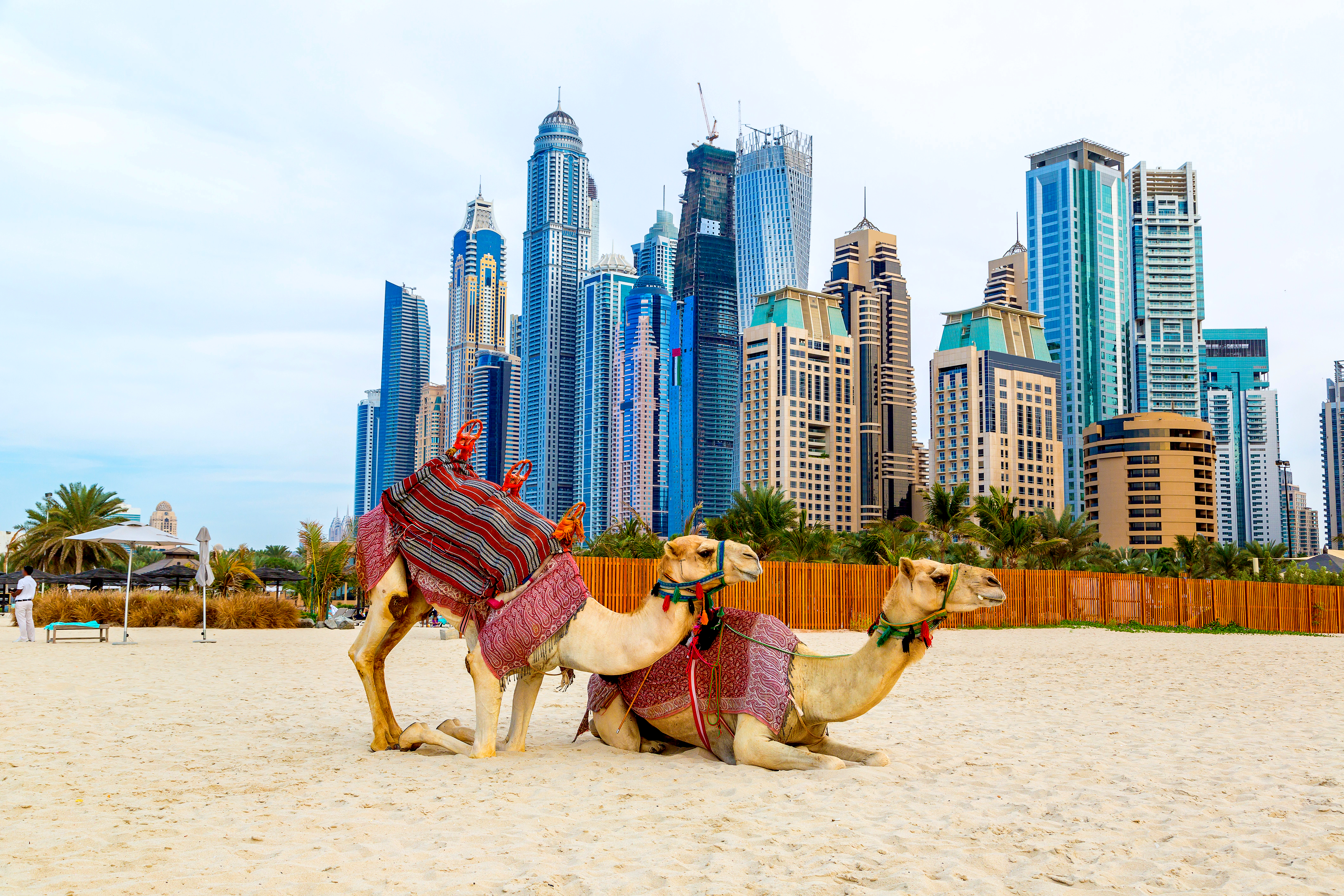 Dubái, una ciudad de contrastes