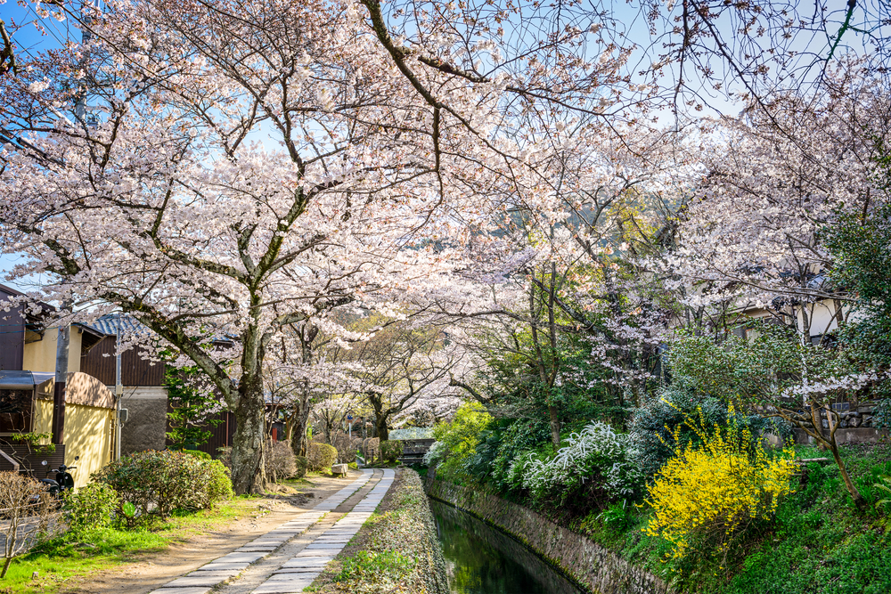 Camino de la Filosofía - Kioto