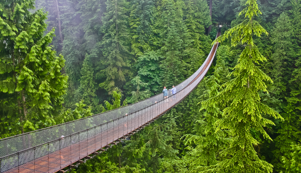 Puente suspendido de Capilano, cerca de Vancouver