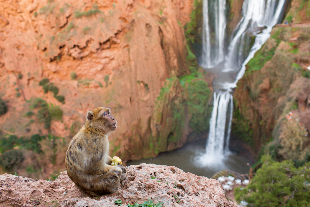 Cascadas de Ouzoud en Marruecos