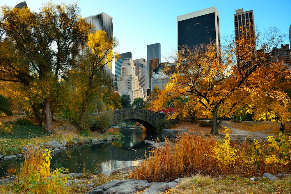 Central Park - Nueva York