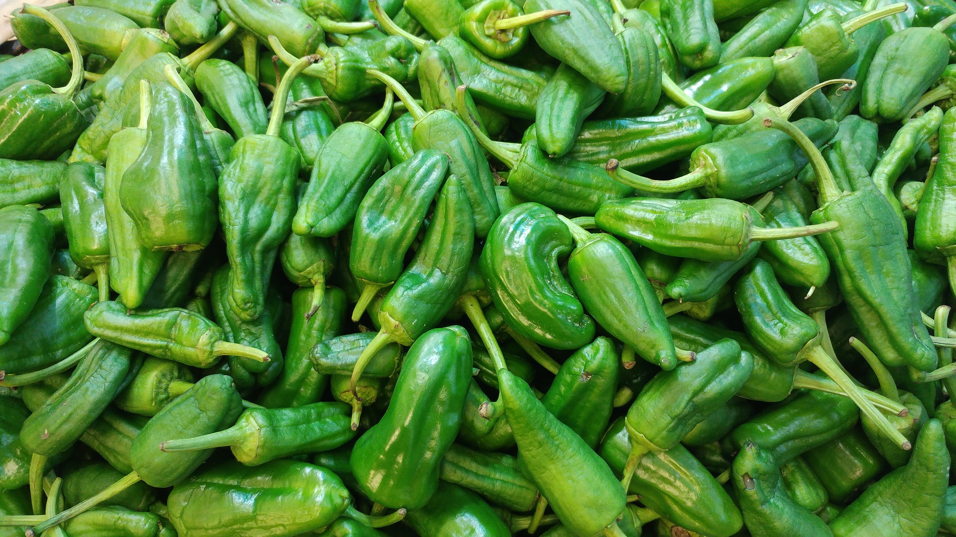 Pimientos de Padrón, típicos del mercado de Santiago