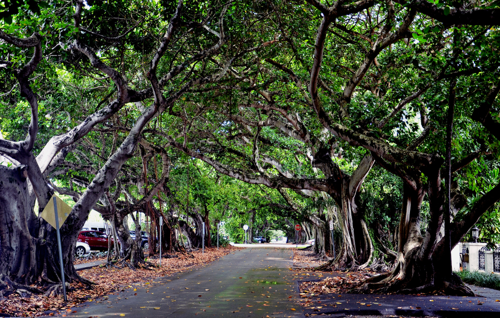 Coral Gables - Miami