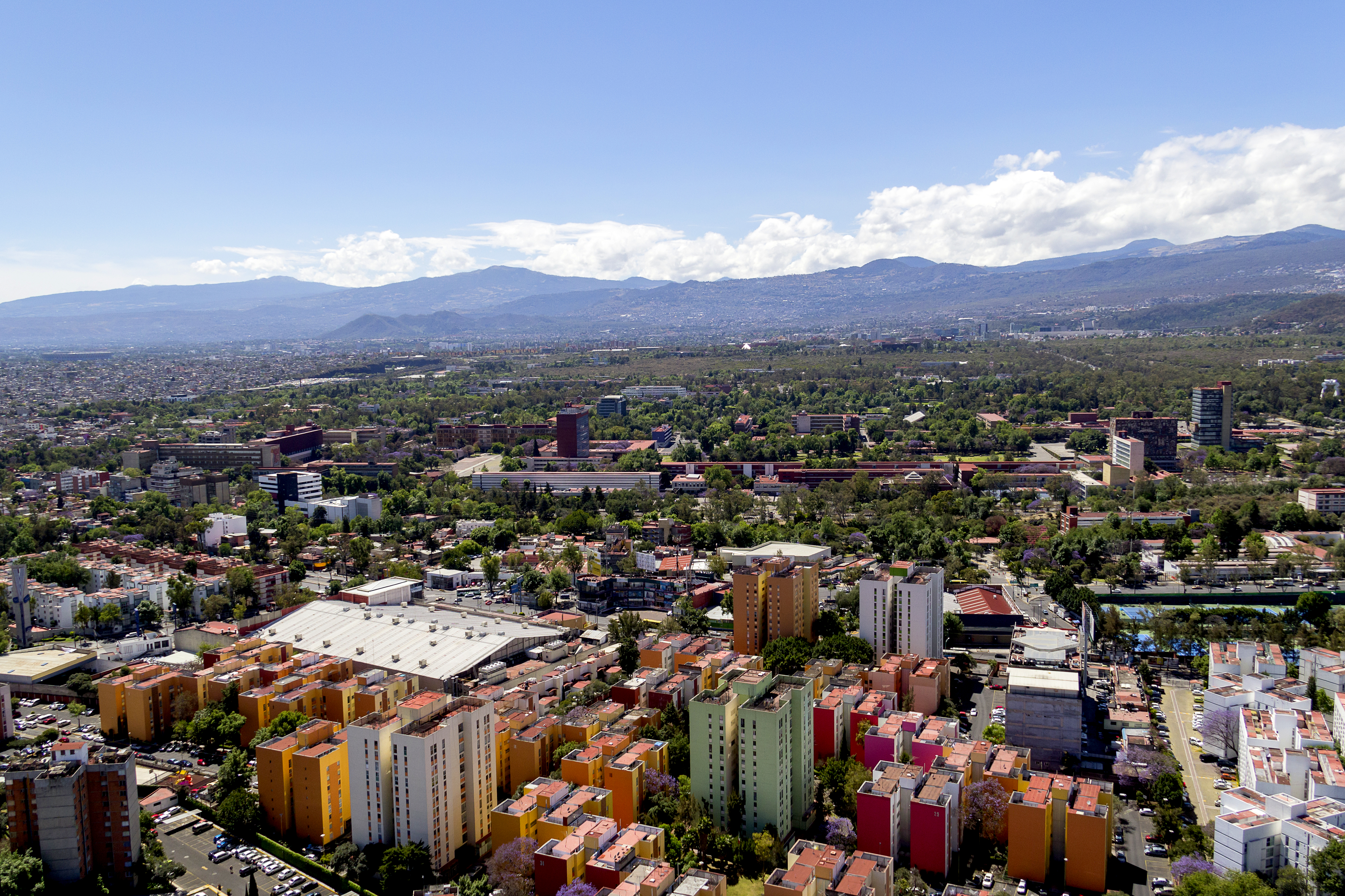 Coyoacán