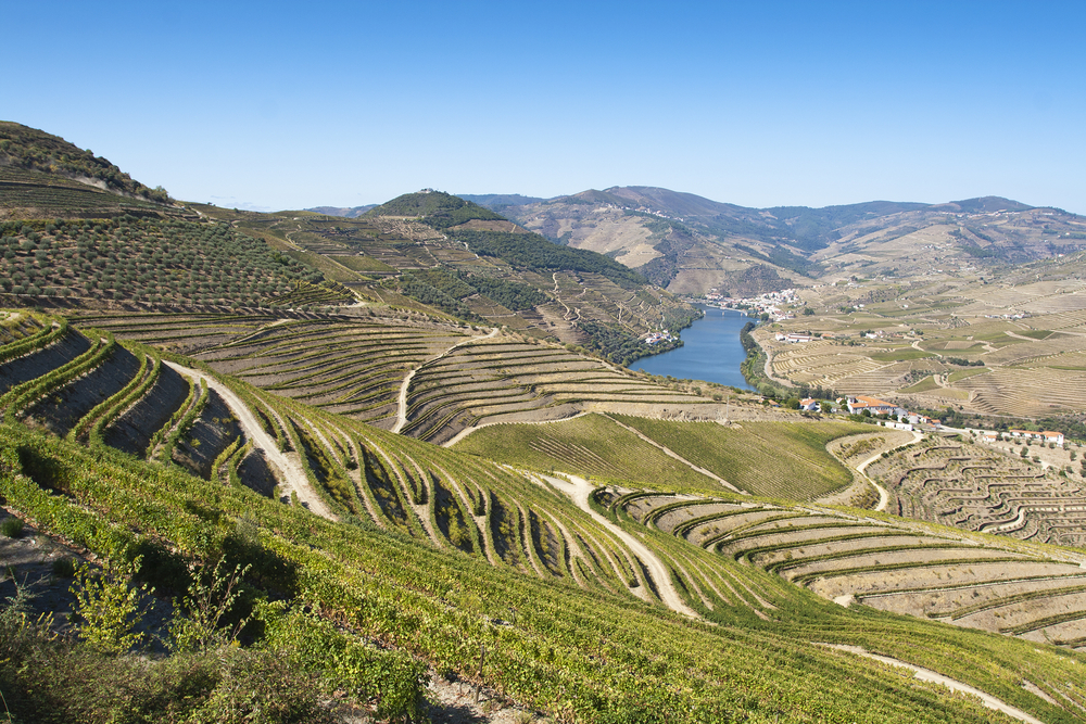 Vistas al Duero y al pueblo Pinhão