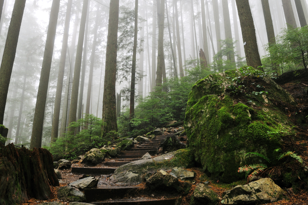 Escaleras del Grouse Grind