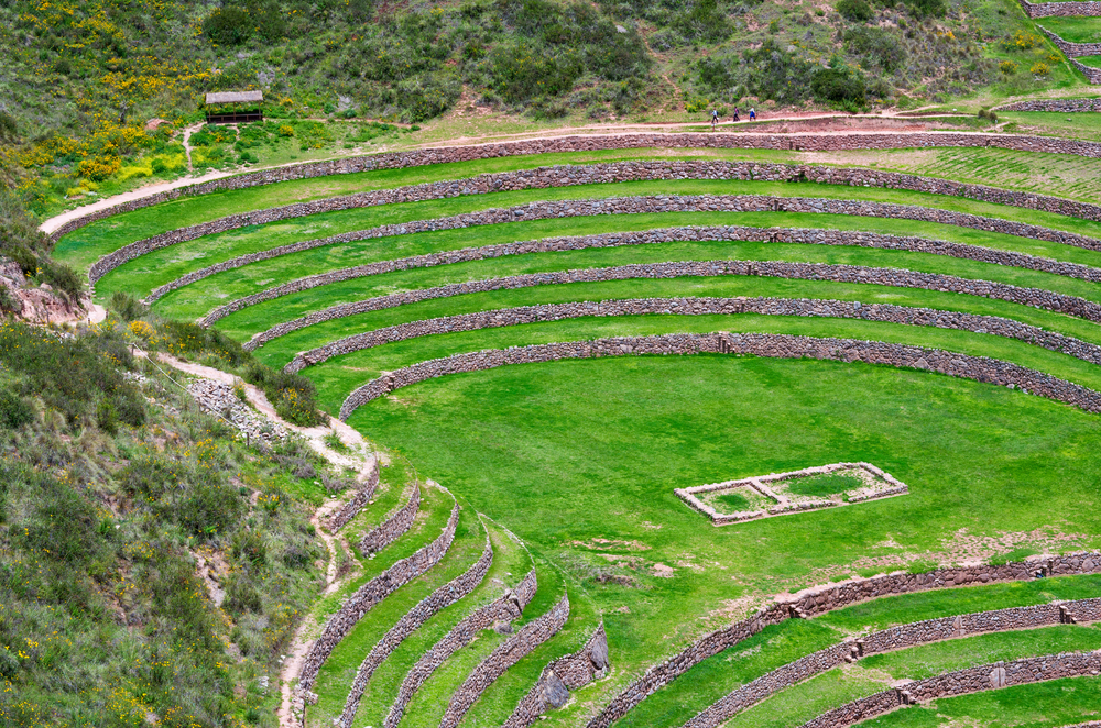 Moray