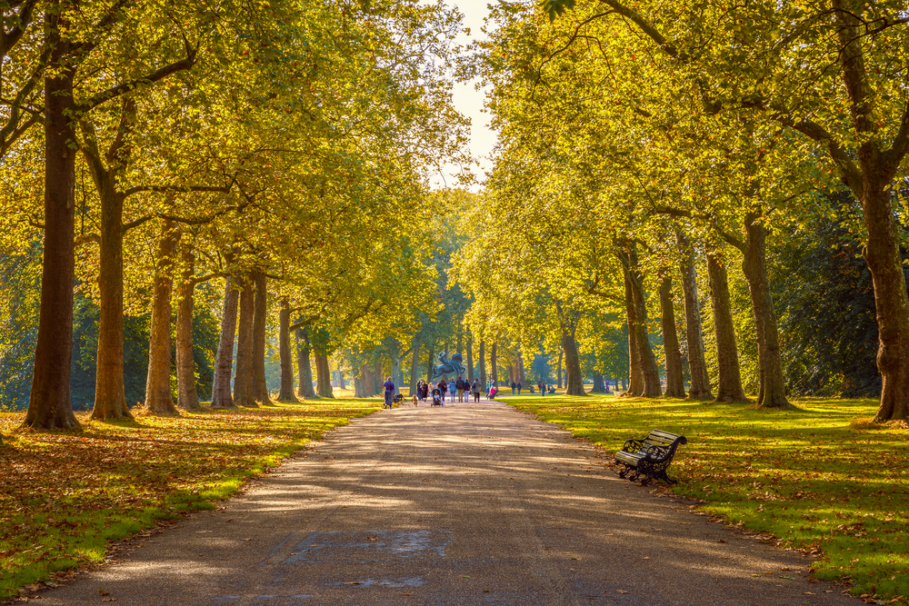 Hyde Park - Londres