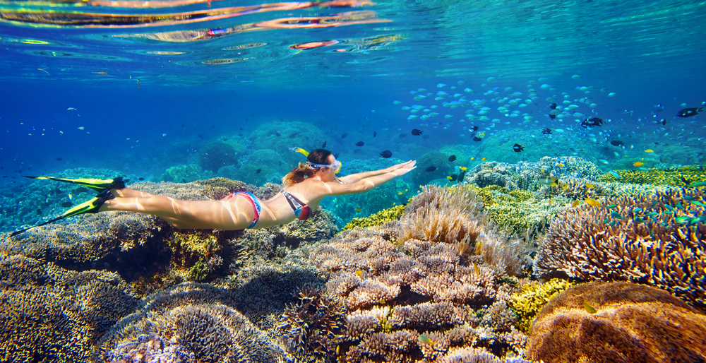 Snorkel - Isla Mujeres