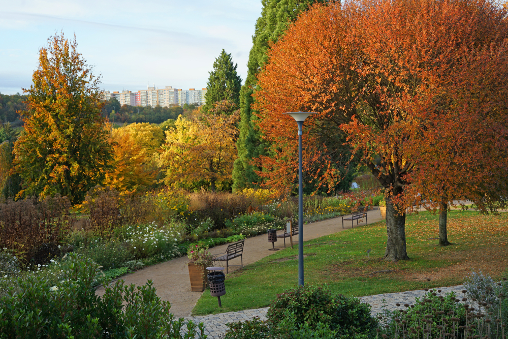 Senderos en el Jardín Botánico de Praga